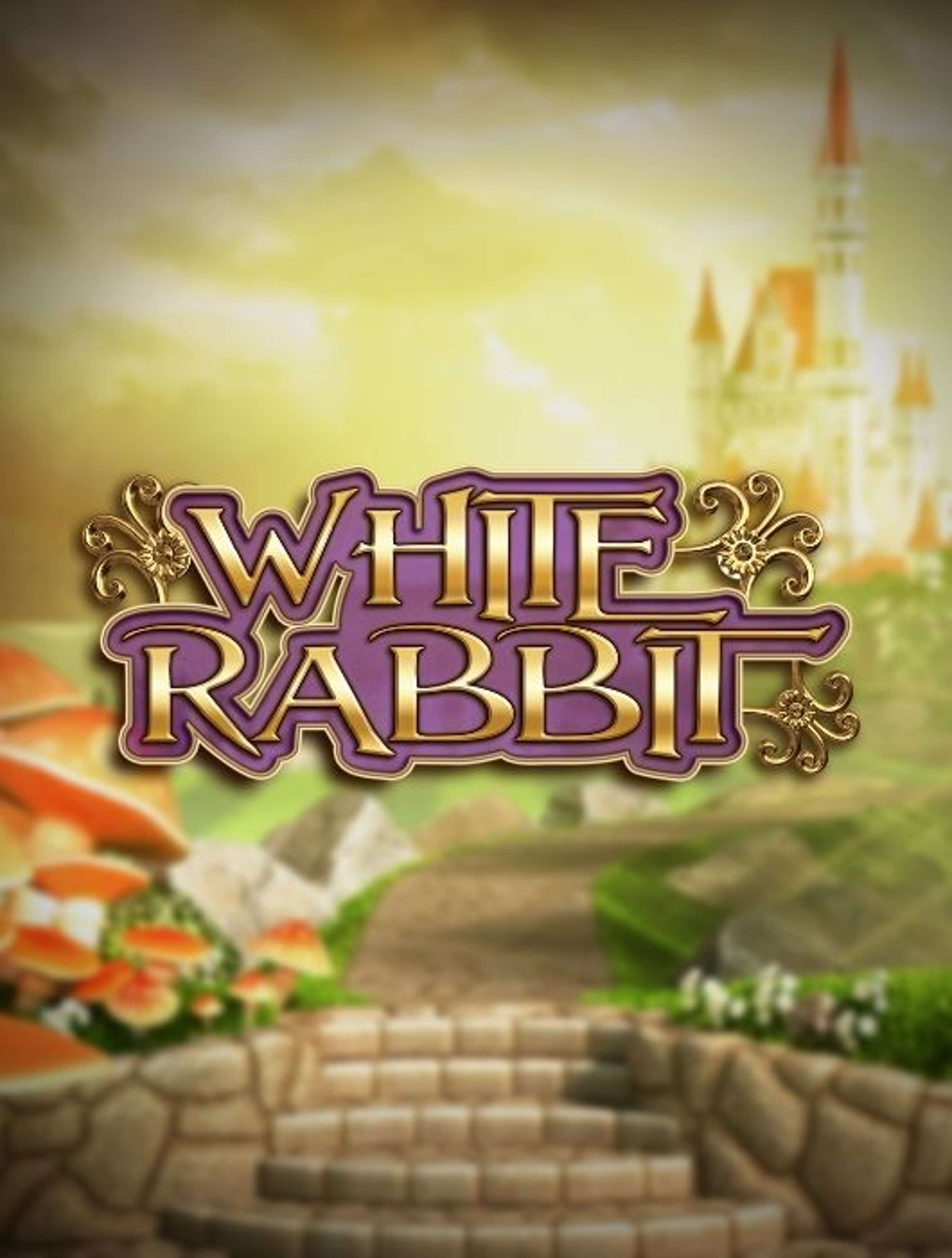 white rabbit thumb 2