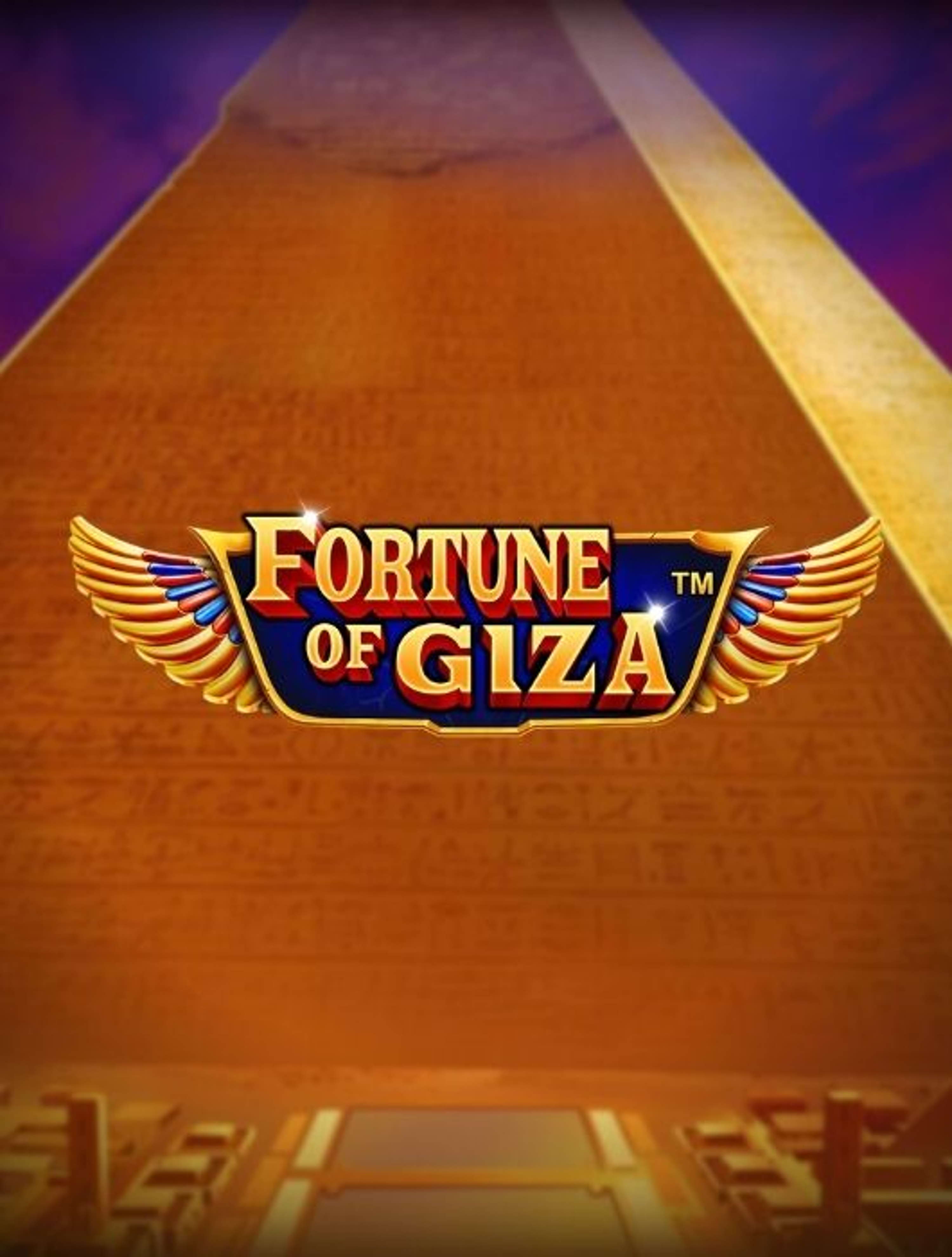 fortune giza thumb