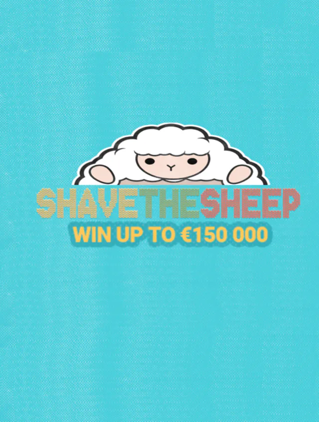 sheep