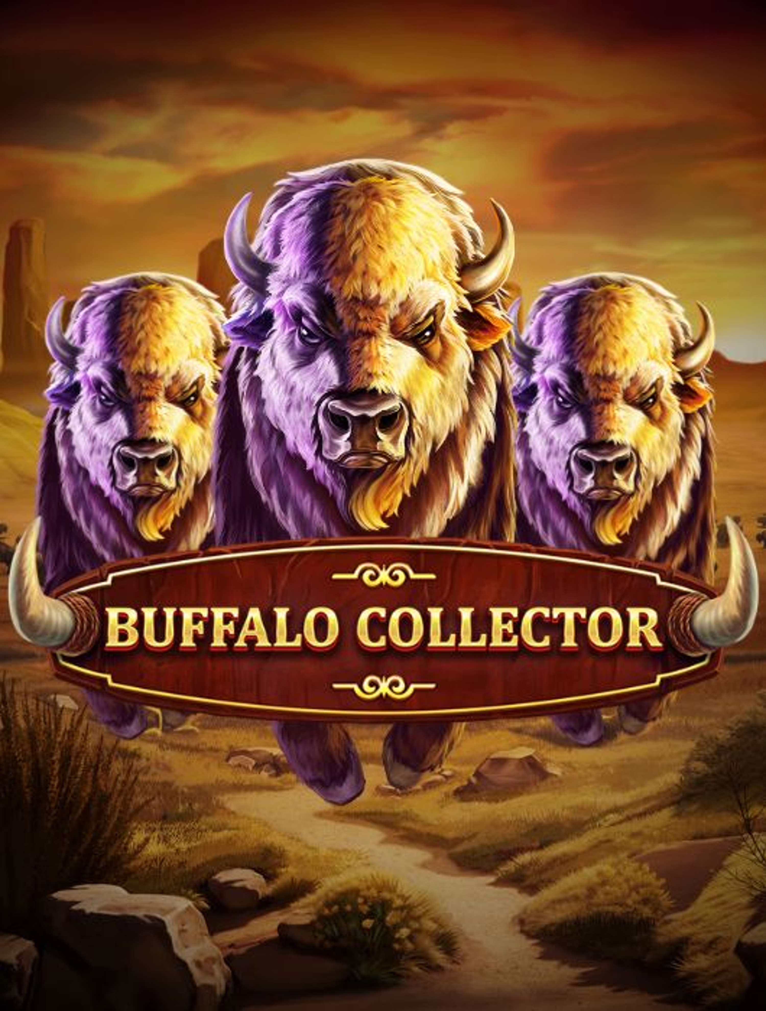 Buffalo Collector Thumb