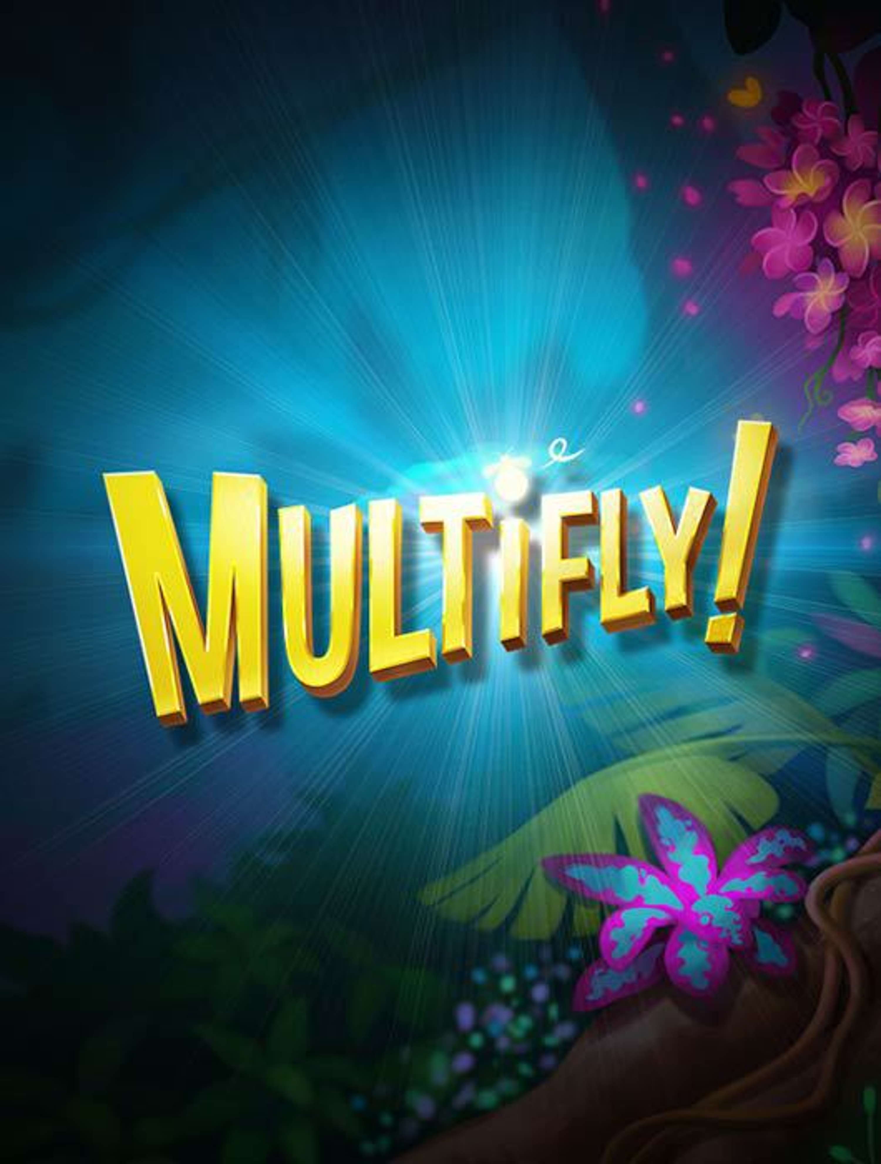 Multifly