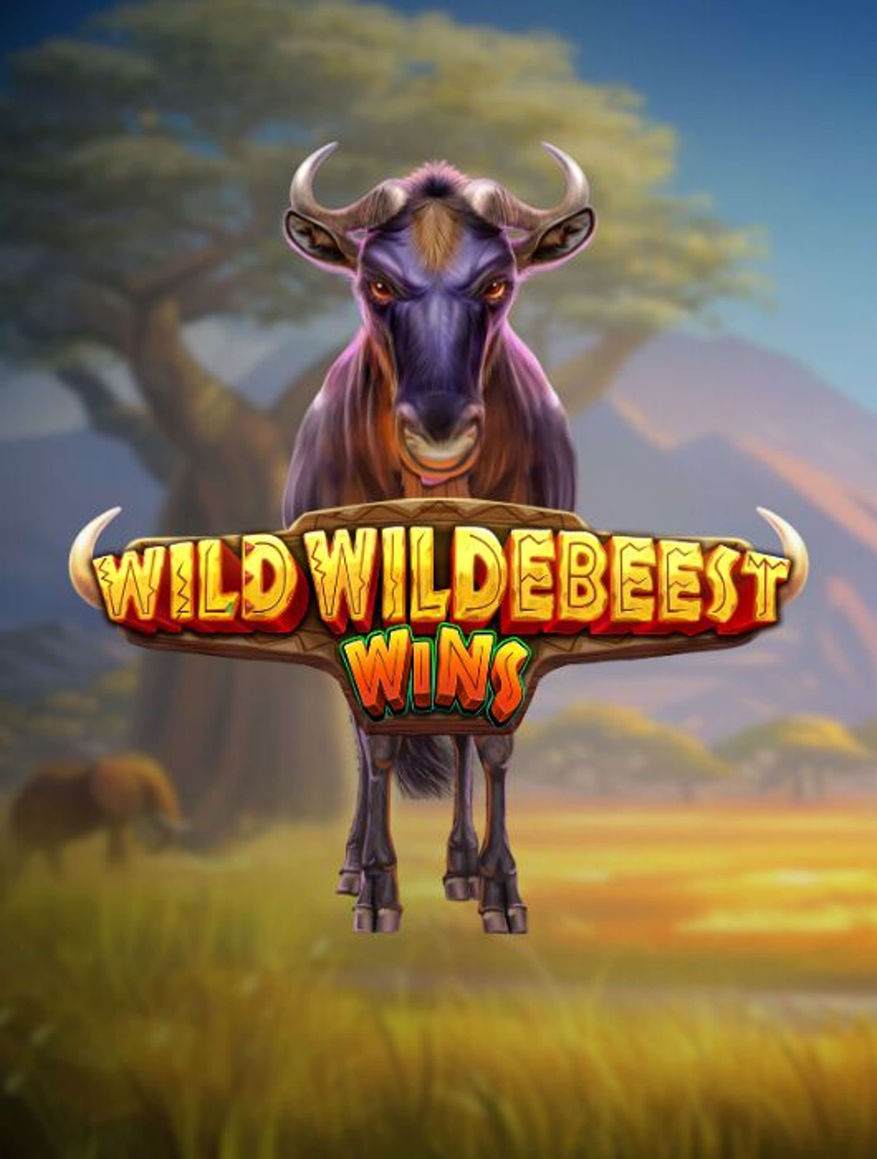 Wild Wildebeest Wins Thumb 