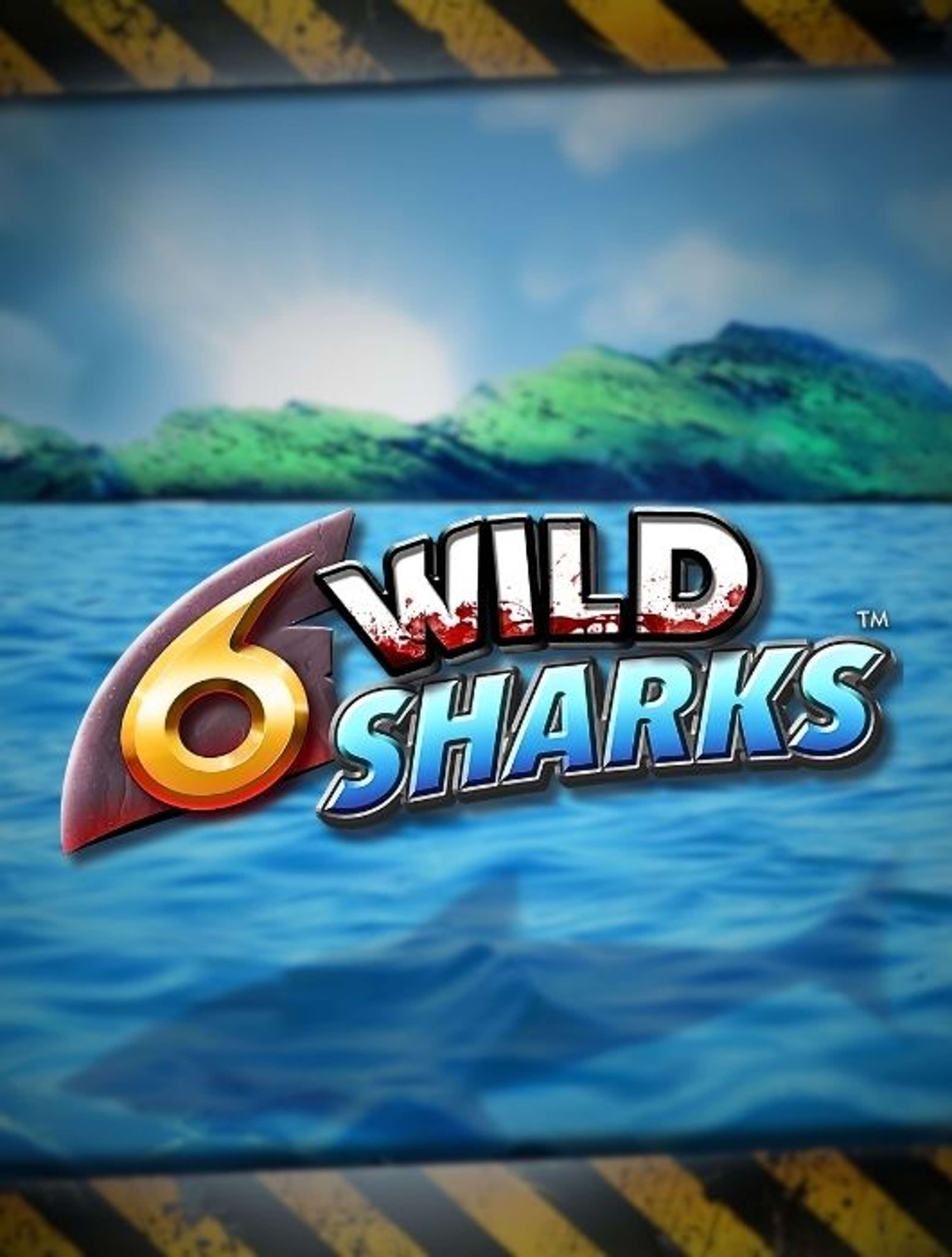 6WildSharksThumb