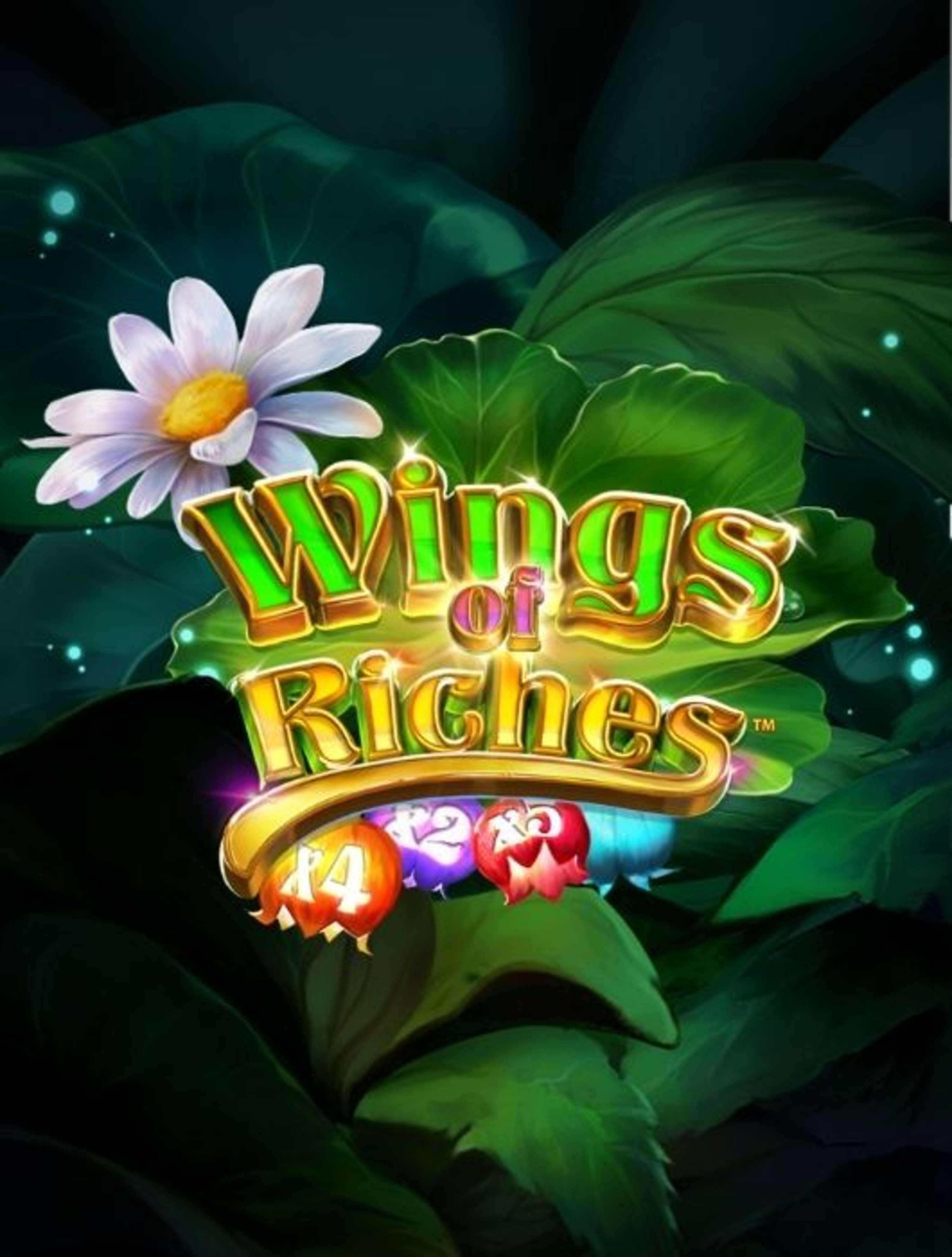 Wings of Riches