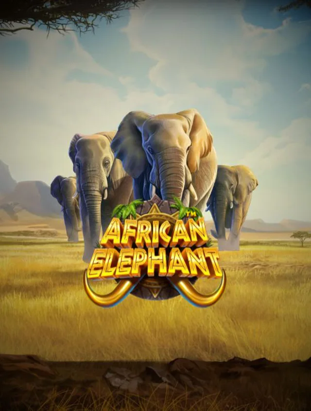 African Elephant%E2%84%A2 Thumb
