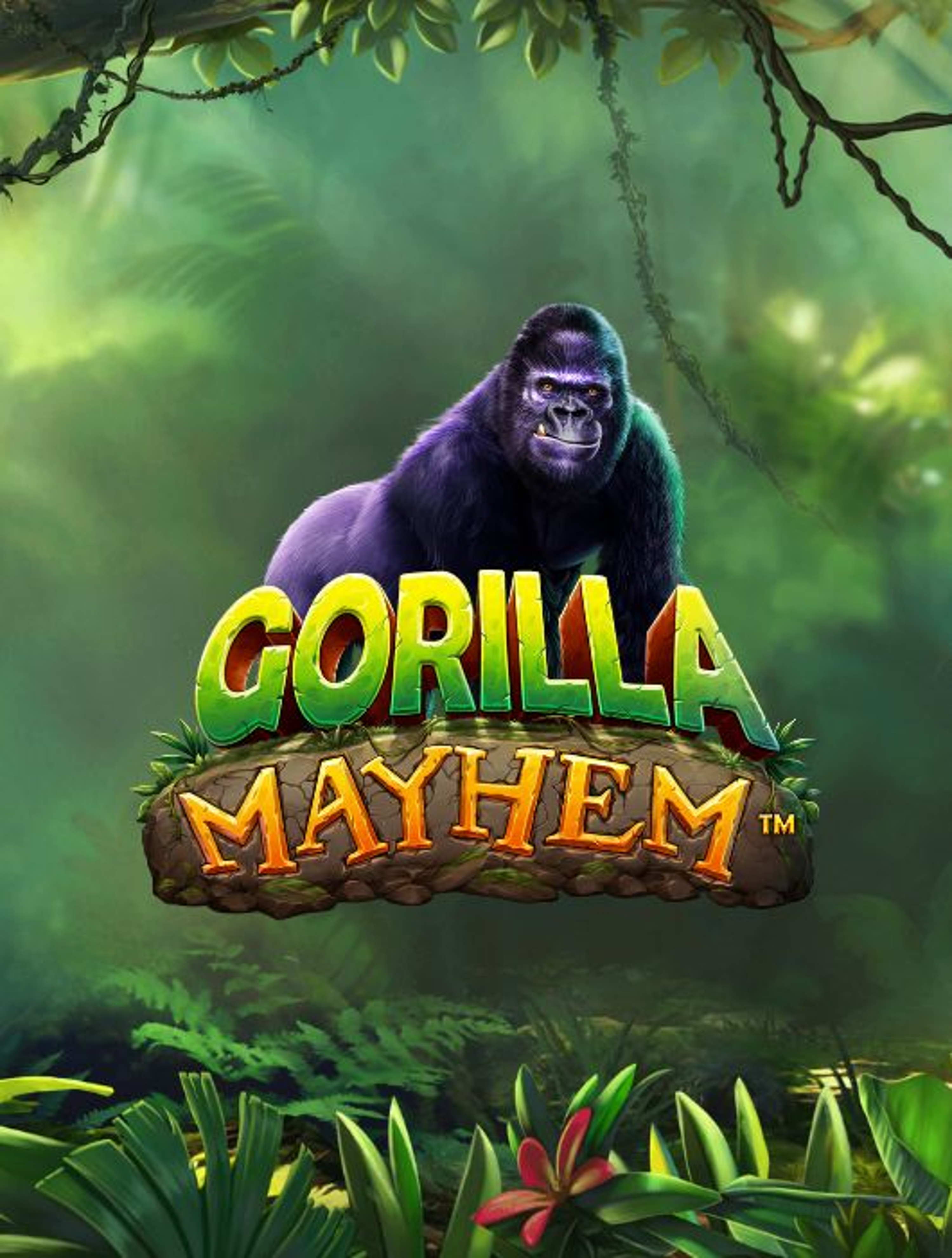 Gorilla Mayhem Thumb