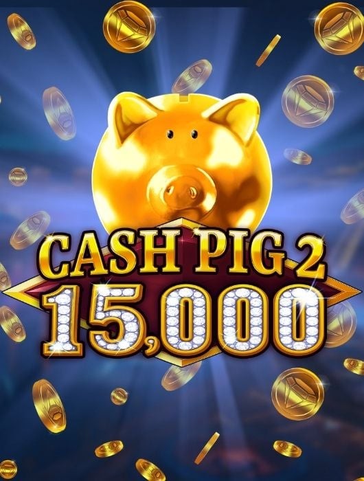 Cash Pig 2 15000 Thumbnail
