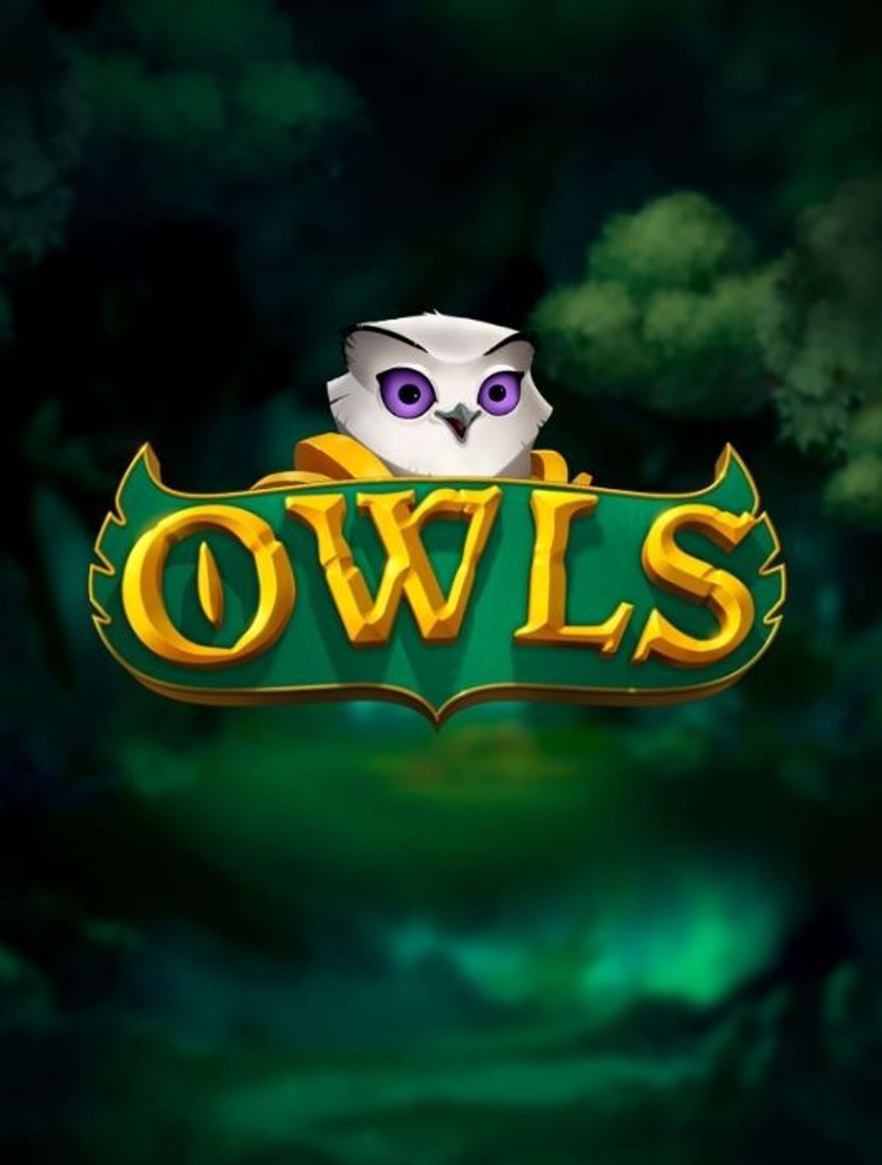 Owls thumb