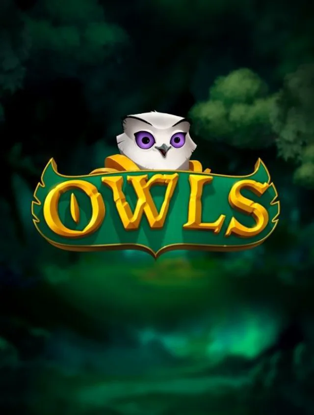 Owls thumb