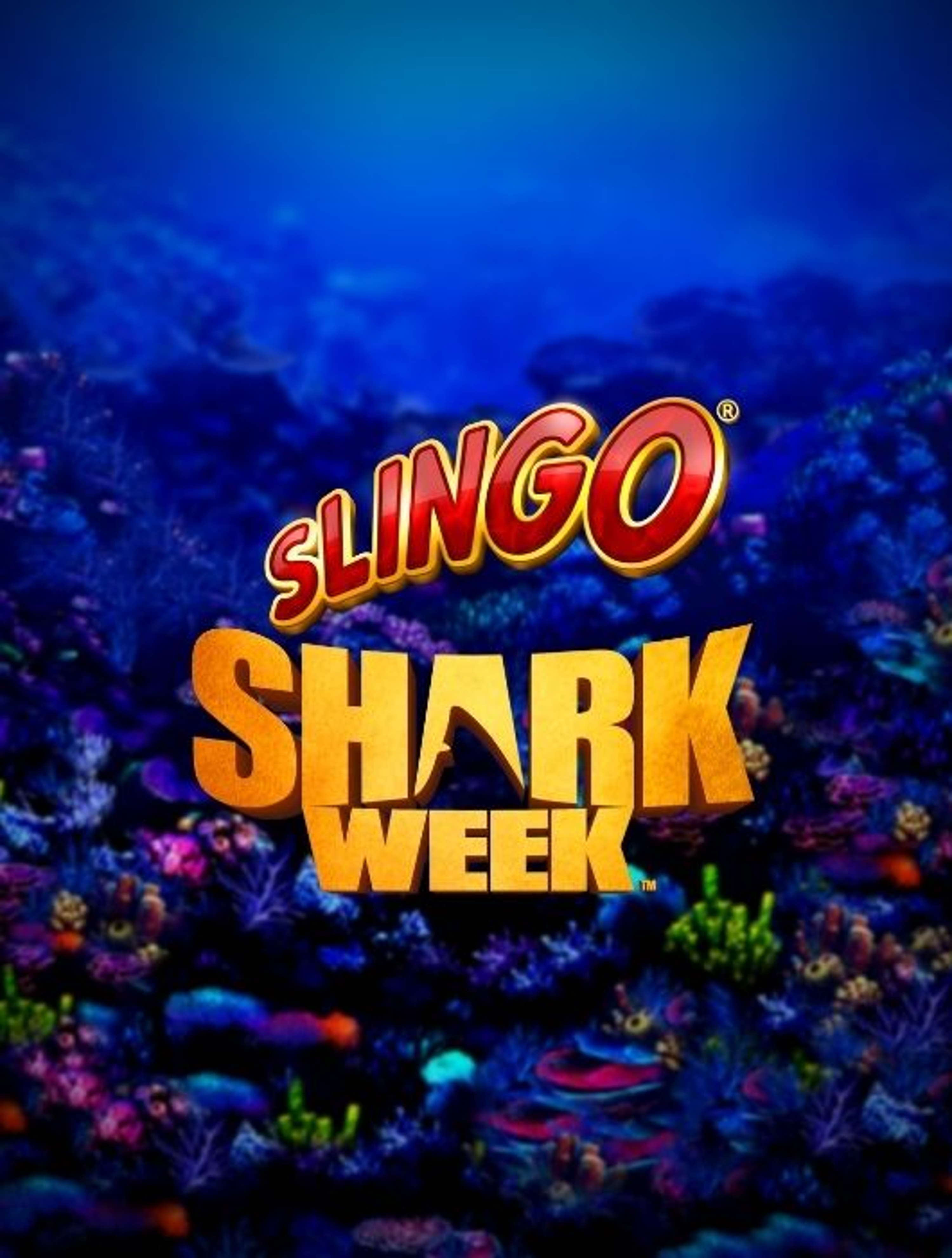SlingoSharkWeekThumb