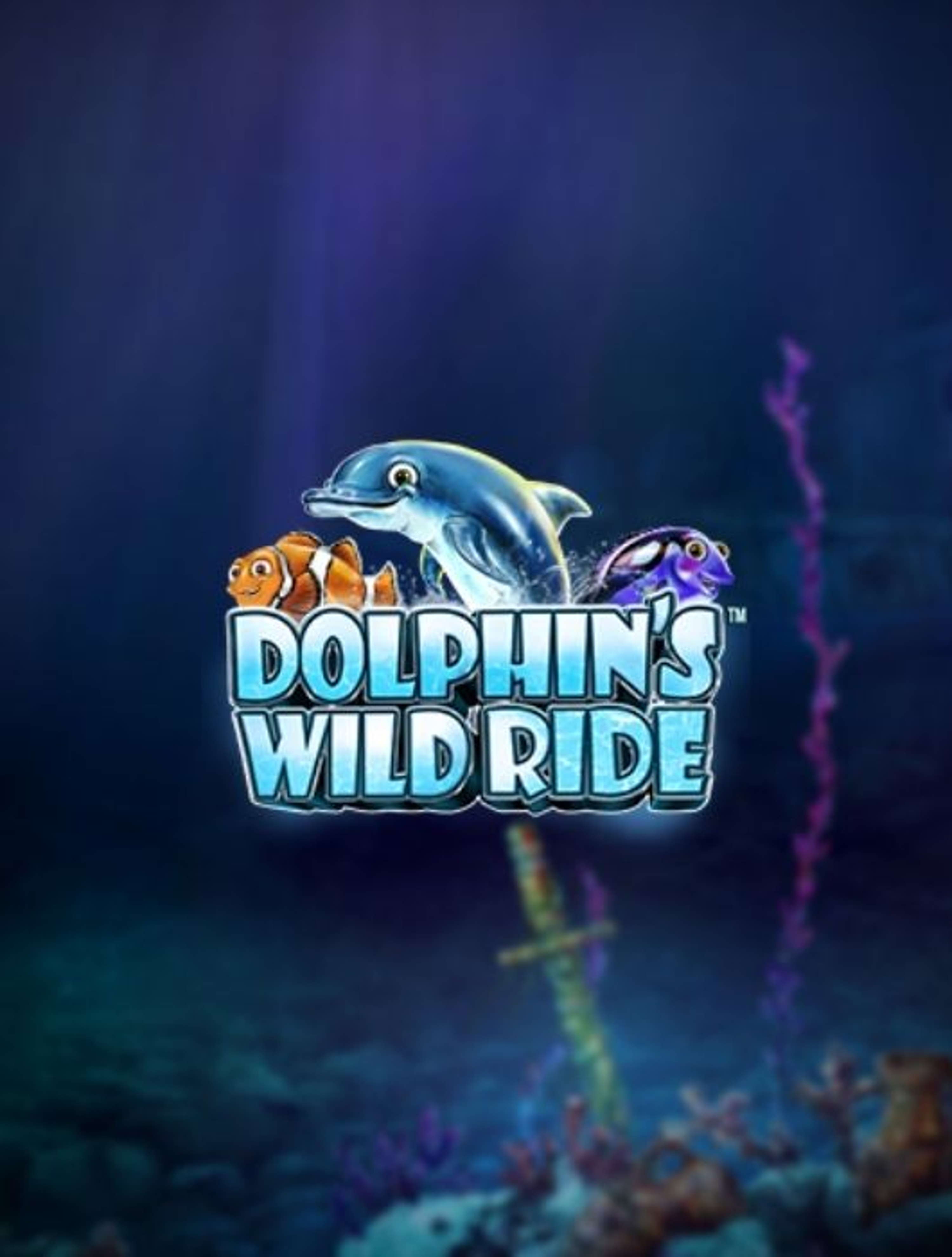 dolphins wil ride thumb
