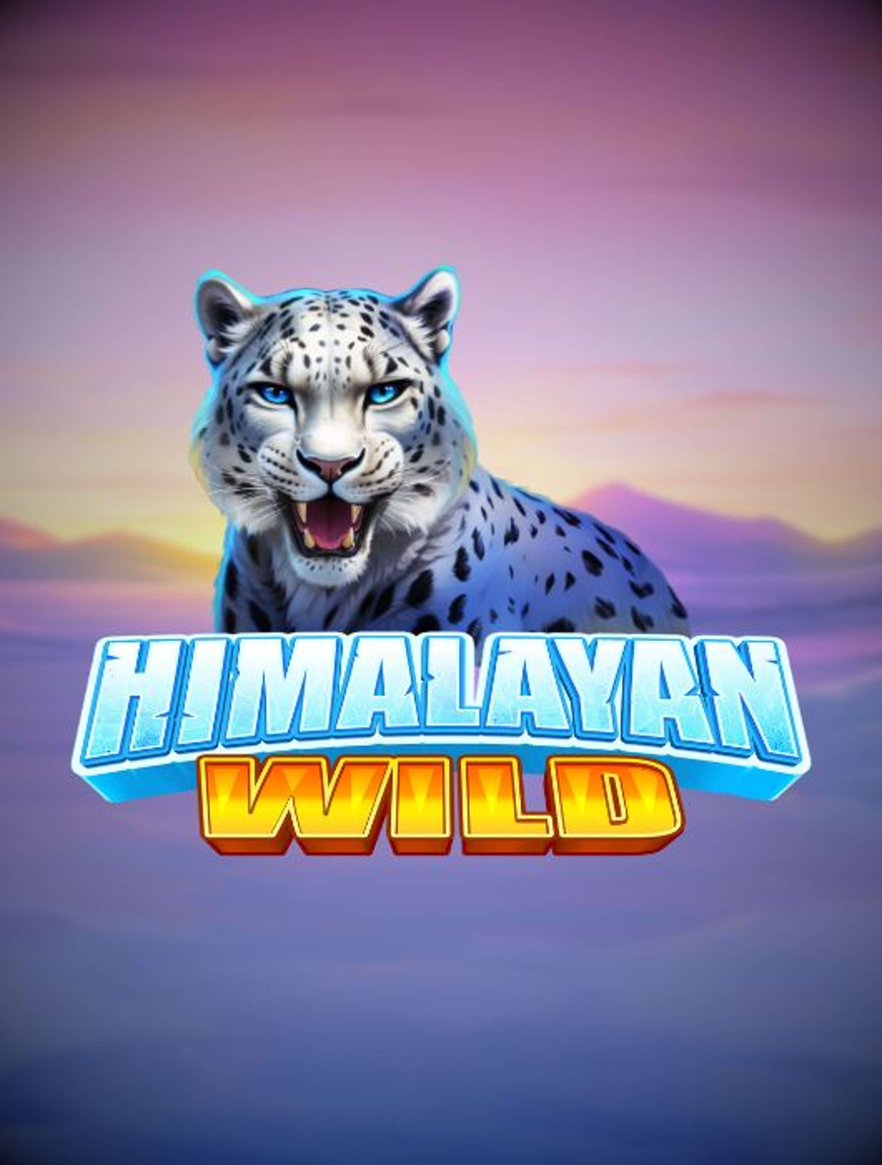 Himalayan Wild Thumb 