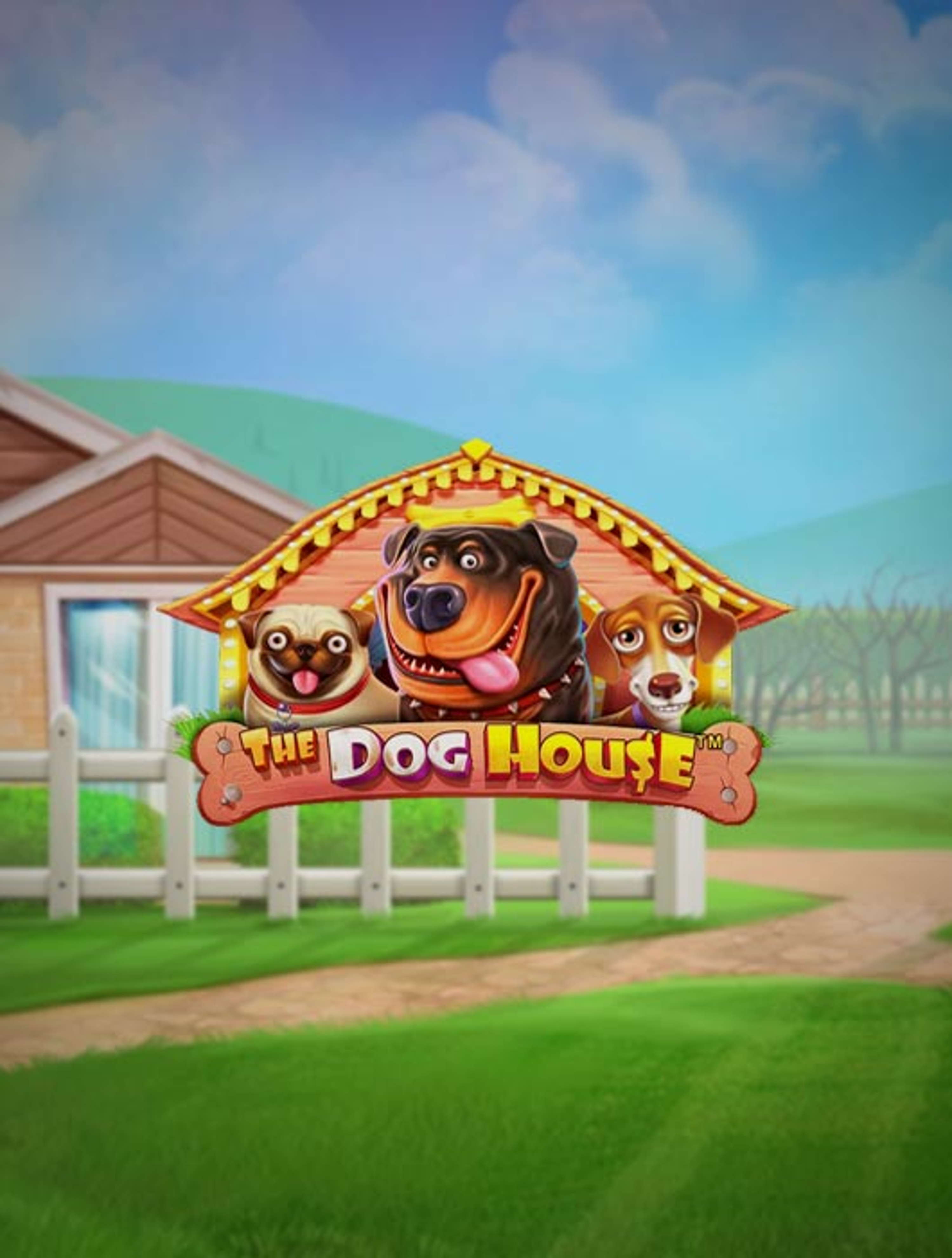 DogHouse