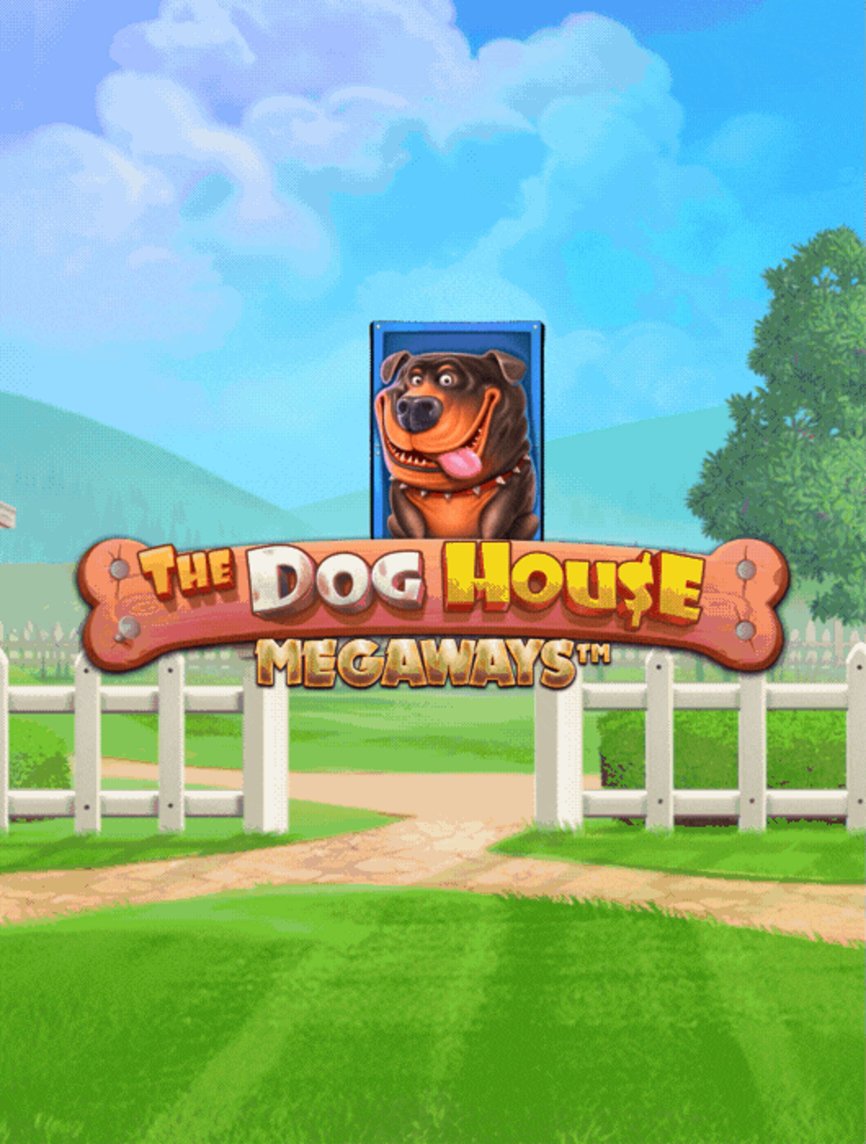 dog house mw thumb