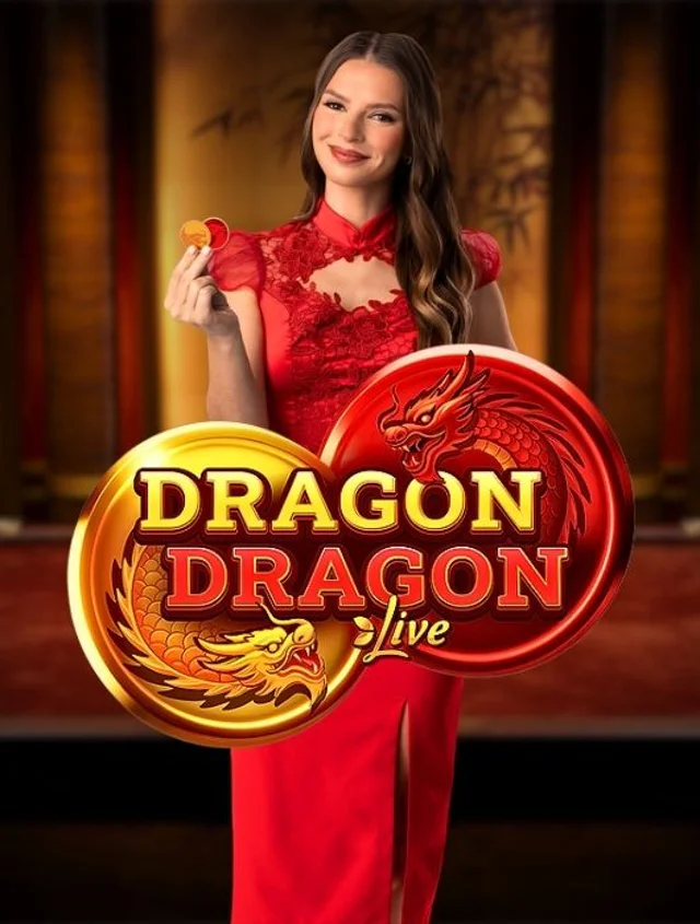 Dragon Dragon