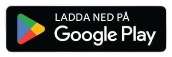 Google Play Icon