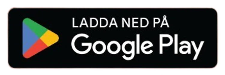 Google Play Icon